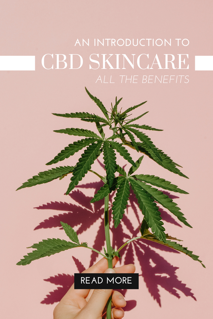 What is CBD? Here’s An Introduction to CBD Skincare and How They Can Benefit Your Skin